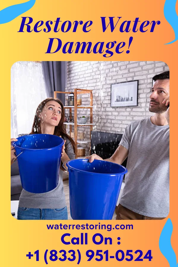 water restoration Local Water Mitigation Force Harlem