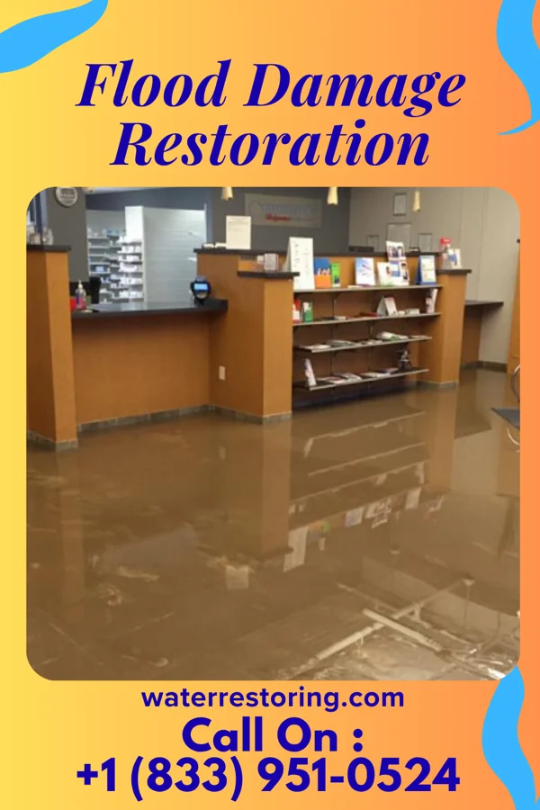 Flood Damage Restoration in Harlem, FL