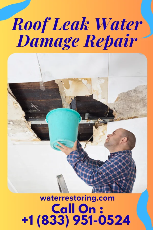 Roof Leak Water Damage Repair in Harlem, FL